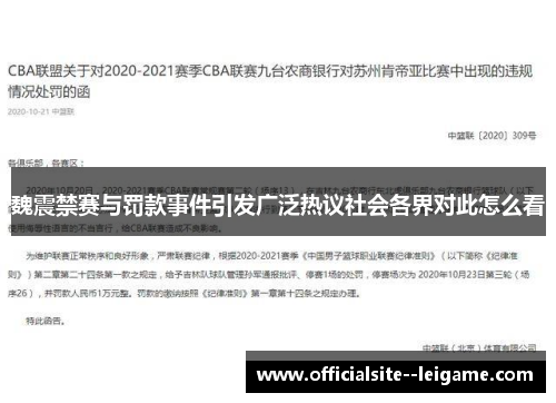 魏震禁赛与罚款事件引发广泛热议社会各界对此怎么看
